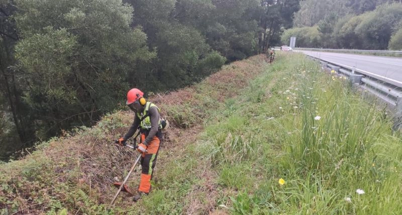 Imagen del artículo La Xunta comenzará esta semana nuevos trabajos de limpieza en los márgenes de la carretera autonómica LU-124, en el Ayuntamiento de Riotorto