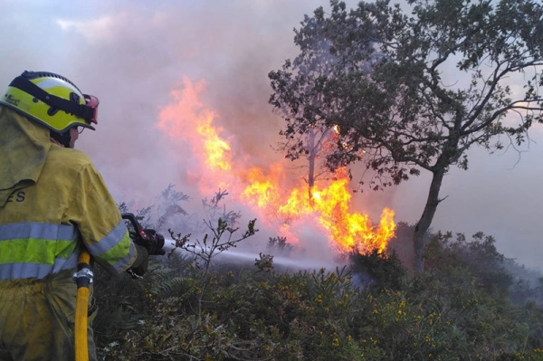 Imagen del artículo El Gobierno activa el nivel 2 de alerta por riesgo de incendios forestales en las comarcas de Campoo-Los Valles