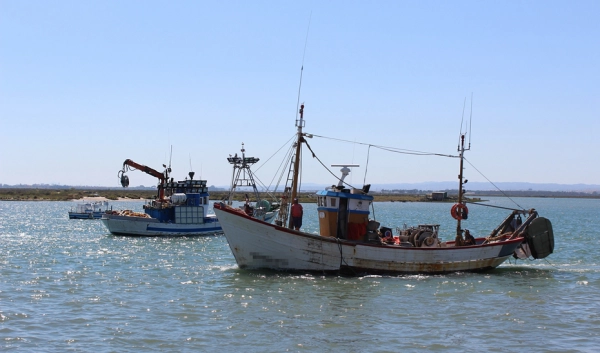 Imagen del artículo Andalucía convoca nuevas ayudas por la paralización temporal de la actividad pesquera