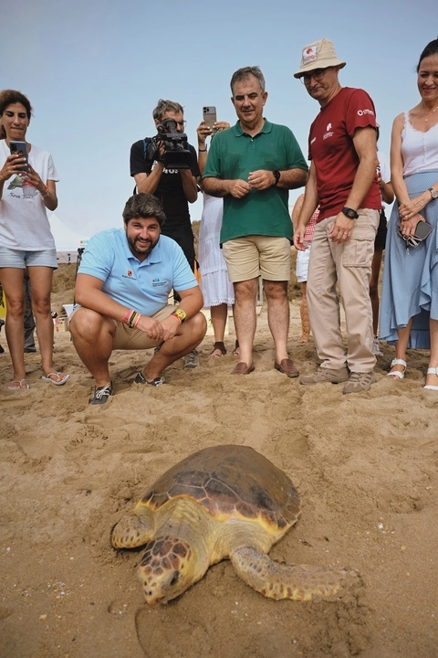 Imagen del artículo La Comunidad recupera y libera 33 ejemplares de tortuga boba en los últimos diez años