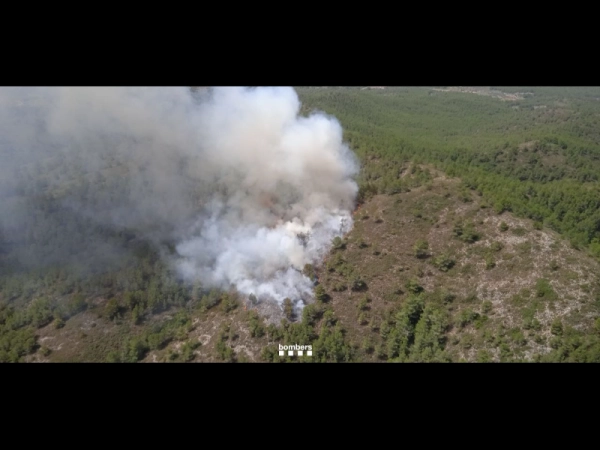 Imagen del artículo Els Bombers de la Generalitat treballen en un incendi forestal a Tivissa (Ribera d'Ebre)