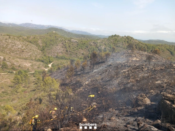 Imagen del artículo Estabilitzat el segon incendi forestal de Tivissa (Ribera d'Ebre)