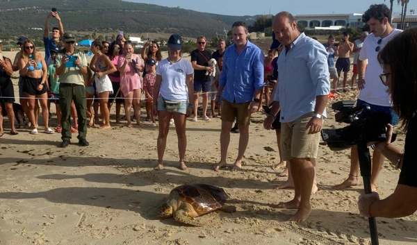 Imagen del artículo Otras cinco tortugas recuperadas vuelven a su medio natural en la playa de Bolonia