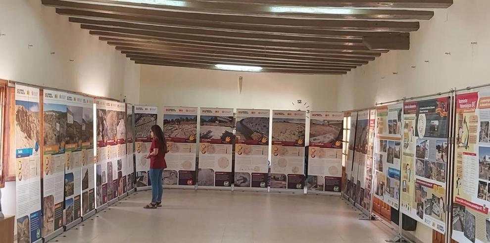 Imagen del artículo La muestra de la Fundación Dinópolis Los yacimientos paleontológicos BIC de la provincia de Teruel se expondrá en Aliaga hasta el próximo 31 de agosto