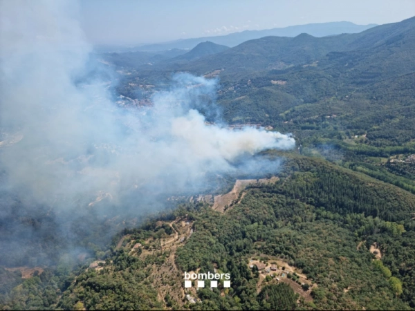 Imagen del artículo Els Bombers de la Generalitat treballen en un incendi forestal a Arbúcies (La Selva)