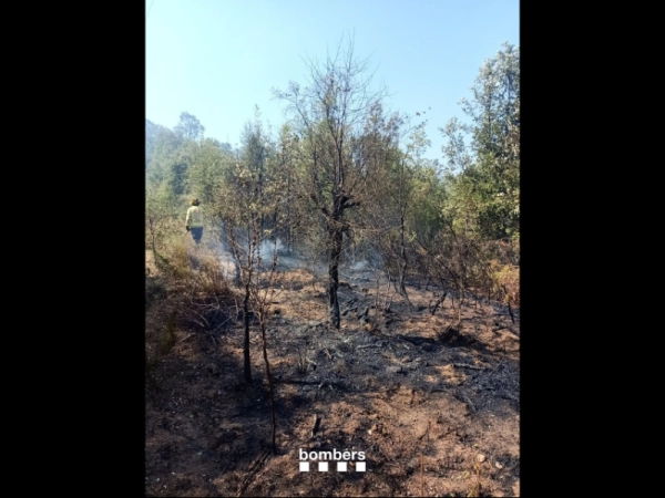 Imagen del artículo Estabilitzat l'incendi forestal d'Arbúcies (La Selva)
