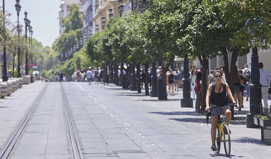Imagen del artículo La AEMET activa mañana sábado el aviso naranja por calor en Cádiz, Córdoba, Jaén y Sevilla