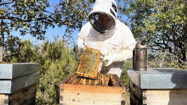 Imagen del artículo La Comunidad de Madrid previene el riesgo de incendios con el control de los ahumadores utilizados en apicultura