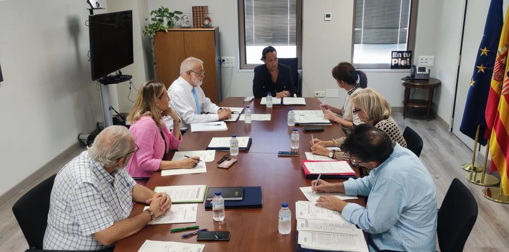 Imagen del artículo La consejera Carmen Susín preside la reunión del Consejo Aragonés de Adopción