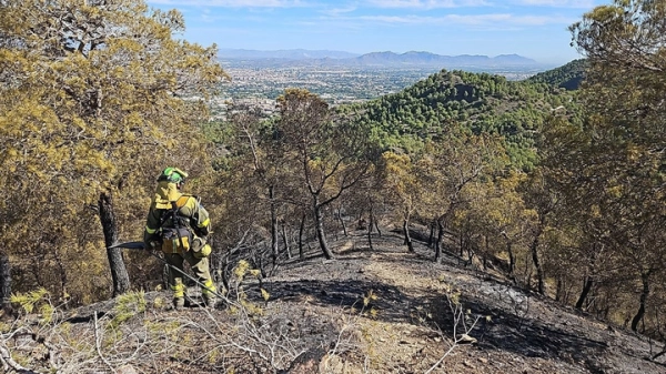 Imagen del artículo La BRIDA halla evidencias de que el incendió acontecido el pasado 29 de agosto en El Valle Perdido fue intencionado