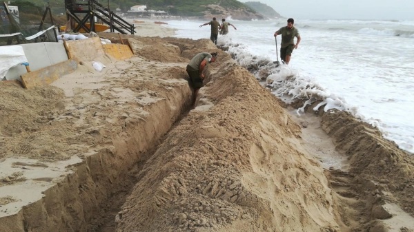 Imagen del artículo Medio Natural retira el último nido de tortuga marina de la playa d'Es Cavallet a causa del temporal de este fin de semana en Ibiza    