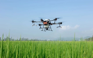 Imagen del artículo Jornada de presentación de resultados de los ensayos de cereal de NEIKER 2023 y uso de drones en la gestión de cultivos