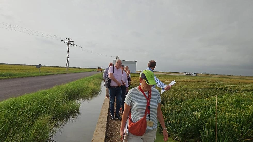 Imagen del artículo Los directores generales de Desarrollo Rural y de Política Agrícola Común visitan una cooperativa productora de semillas certificadas de arroz