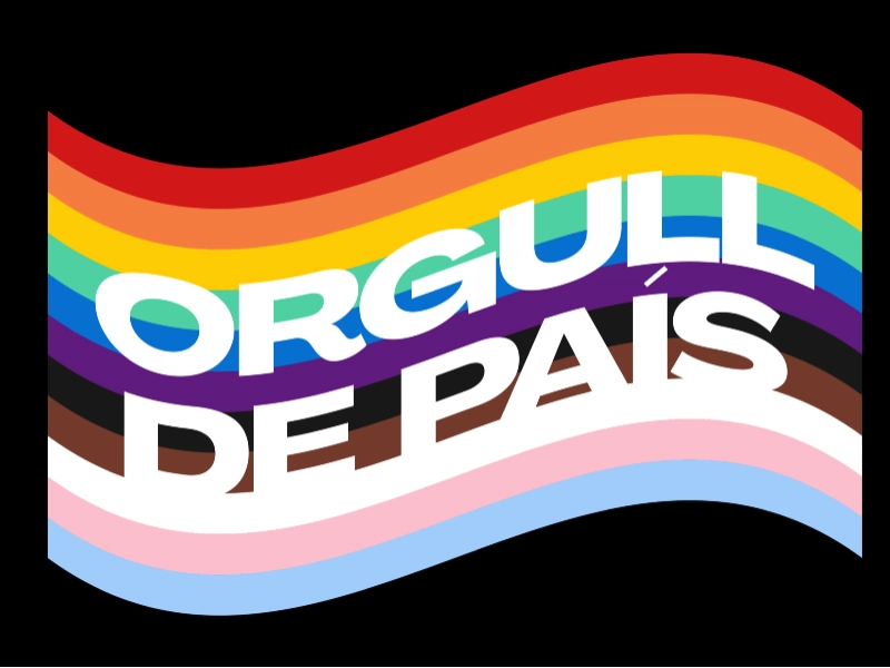 Imagen del artículo El Govern aprova la Declaració institucional del Dia Internacional de l'Orgull o per a l'Alliberament LGBTI+