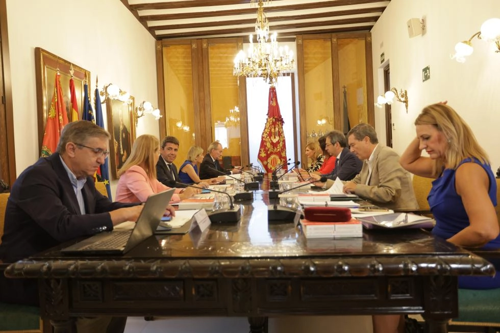 Imagen del artículo El president de la Generalitat, Carlos Mazón, ha presidido el Pleno del Consell en Orihuela