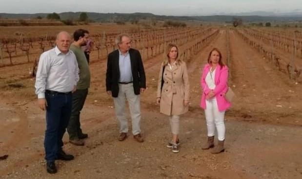 Imagen del artículo Aguirre visita los viñedos afectados por la fuerte tormenta del domingo en la comarca de Utiel-Requena