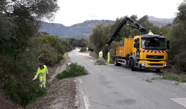 Imagen del artículo La Junta destina 16,9 millones para el desbroce de los márgenes de la red de carreteras de Andalucía