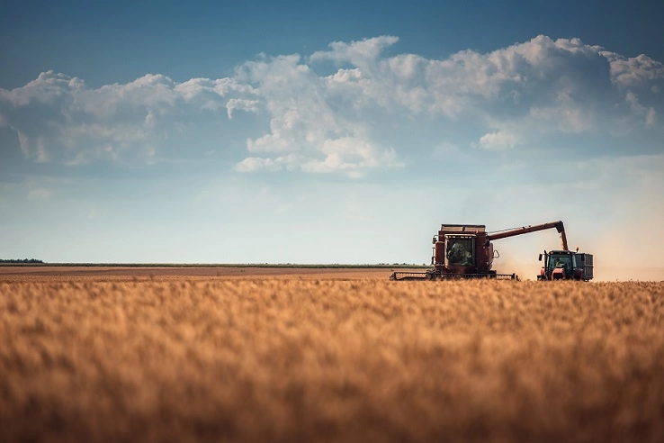 Imagen del artículo Agricultura publicita la relación provisional de ayudas directas al cereal de invierno para explotaciones agrarias afectadas por la sequía