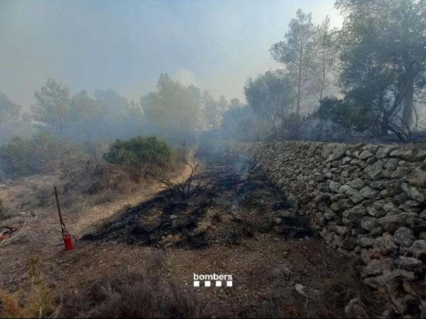 Imagen del artículo Estabilitzat l'incendi de Vespella de Gaià (Tarragonès)