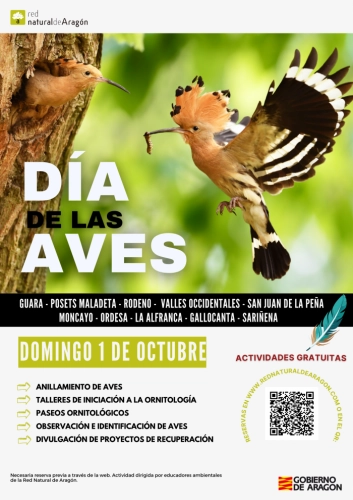 Image 1 of article Aragón conmemora el Día de las Aves con más de una decena de actividades en los Espacios Naturales Protegidos