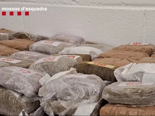 Imagen del artículo La lluita policial contra el tràfic d'haixix ha comportat que des de 2018 els Mossos d'Esquadra hagin comissat més de 40 tones d'aquesta droga a Catalunya