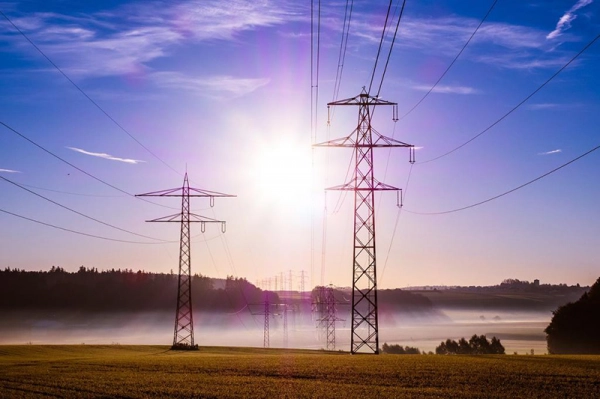 Imagen del artículo Desarrollo Rural concederá 318.000 euros en ayudas para adaptar las líneas eléctricas de alta tensión frente a la electrocución de las aves