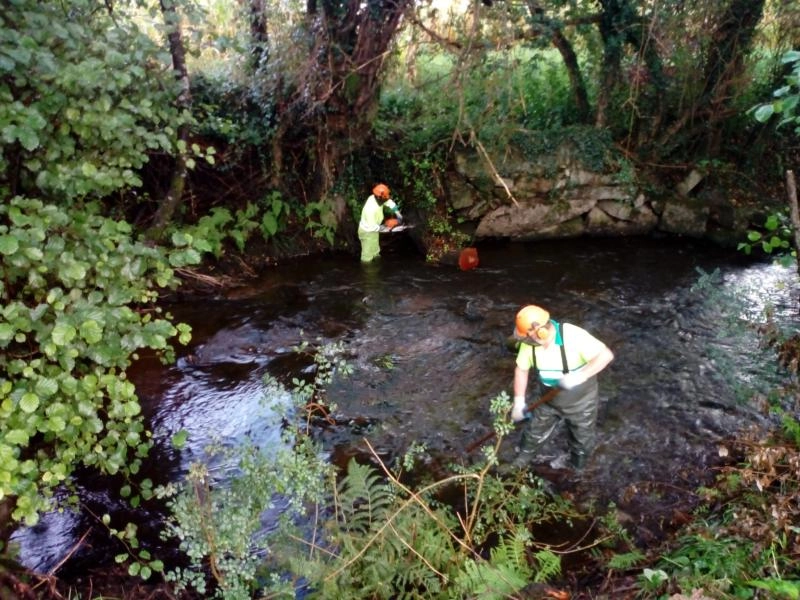 Imagen del artículo La Xunta realiza trabajos de conservación y limpieza en los trechos interurbanos de los ríos Barosa y Maquieira a su paso por los ayuntamientos de Barro y de Portas
