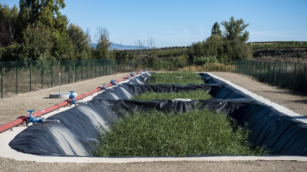 Imagen del artículo El Consorcio de Aguas y Residuos de La Rioja presenta un Plan de Contratación de 284,7 millones de euros para 2024