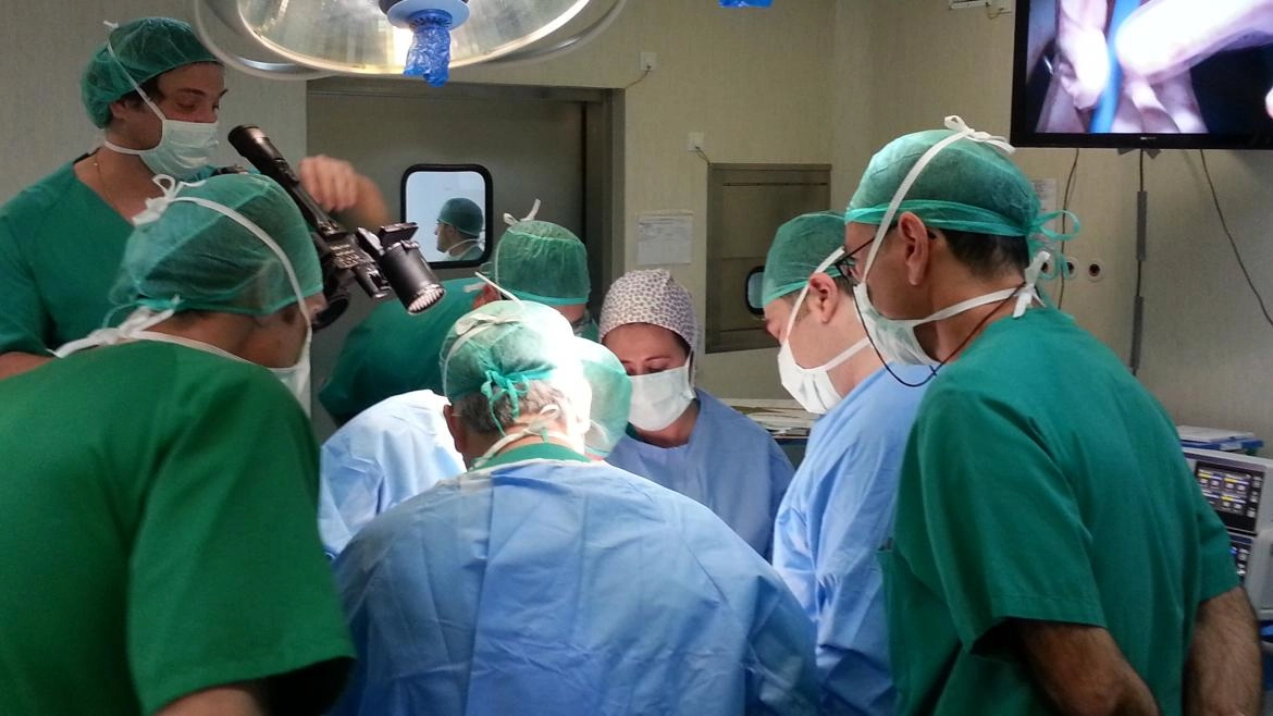 Imagen del artículo Un residente de cirugía del Hospital del Henares, premiado en el Congreso Europeo de Hernia