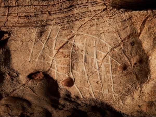 Imagen del artículo Un grup d'espeleòlegs descobreix un conjunt de gravats prehistòrics a una cova subterrània a La Febró, al Baix Camp