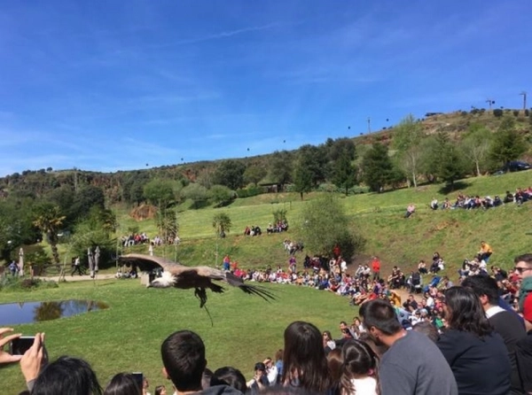 Imagen del artículo Más de 67.000 personas visitan Cabárceno, Fuente Dé y El Soplao en Semana Santa, récord histórico en Cantabria