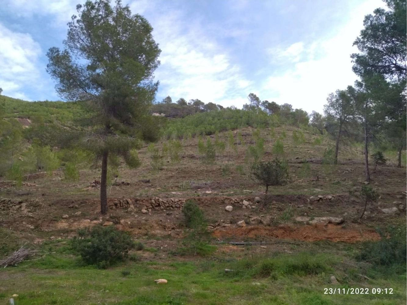 Imagen del artículo Medio Ambiente ejecuta actuaciones para prevenir los incendios forestales en 38 hectáreas de Benirràs y Morna