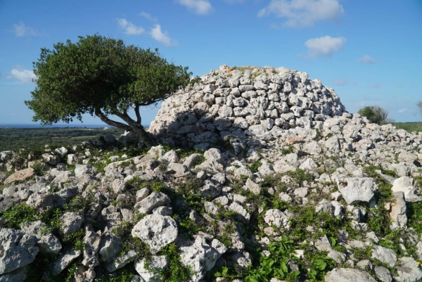 Imagen del artículo Menorca Talayótica avanza hacia la inscripción como patrimonio mundial