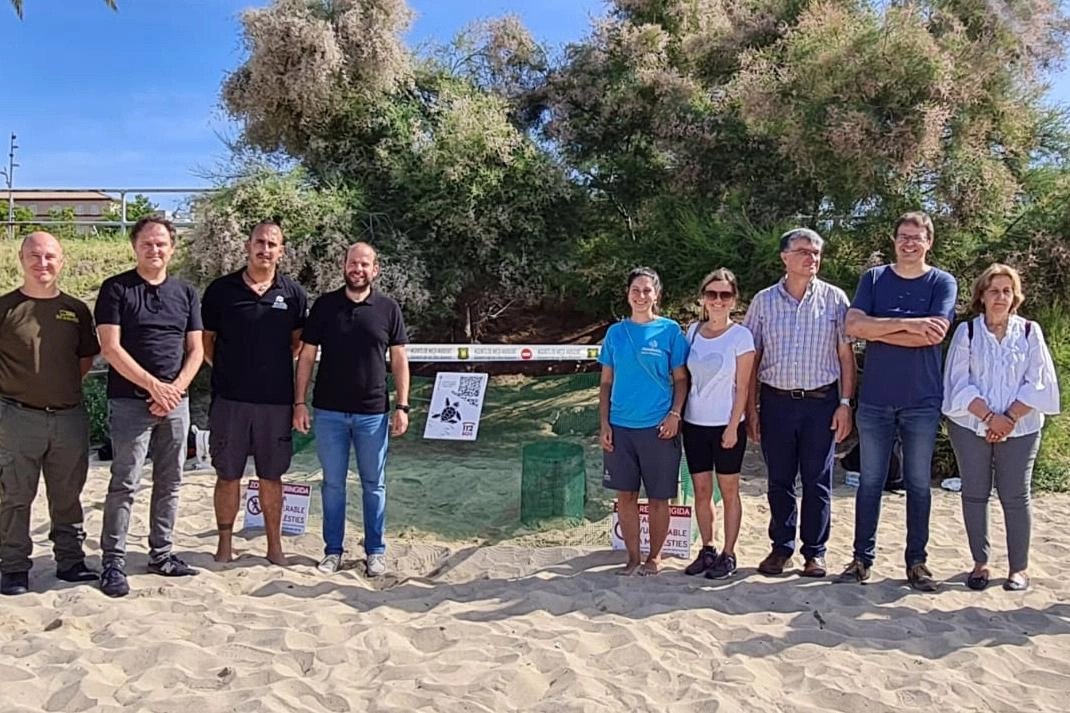 Imagen del artículo La playa de Can Pere Antoni, escenario de la primera puesta registrada en Mallorca de tortuga marina