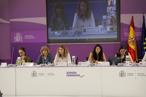 Imagen del artículo El IBDONA participa por primera vez, ocupando una vocalía, en el Pleno del Observatorio Estatal de Violencia sobre la Mujer