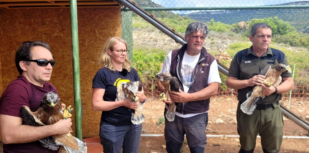 Imagen del artículo Cuatro nuevas águilas de Bonelli llegan a la Sierra de Guara para su próxima liberación