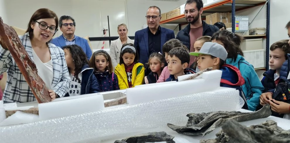 Imagen del artículo La Fundación Dinópolis expone fósiles inéditos con motivo del Día Internacional de los Museos