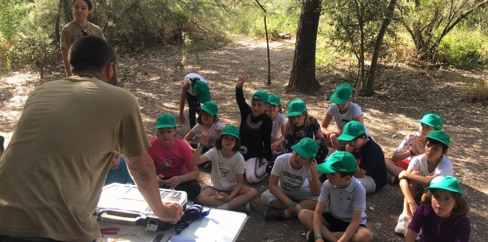 Imagen del artículo Abierto el plazo de inscripción para el campus infantil de La Alfranca