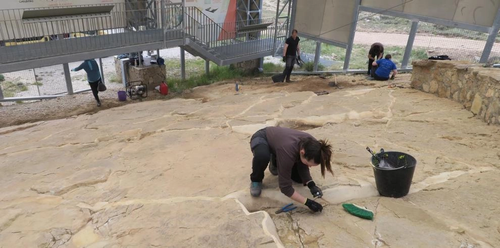 Imagen del artículo La Fundación Dinópolis actúa en dos yacimientos de icnitas de dinosaurios en Galve (Teruel)