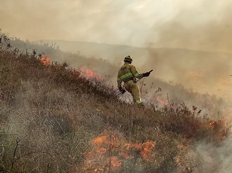 Imagen del artículo Permanecen activos cuatro incendios forestales de los veinte provocados este fin de semana en Cantabria