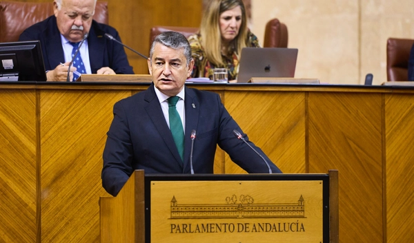 Imagen del artículo El Parlamento andaluz aprueba el decreto ley de ayudas a pymes y autónomos