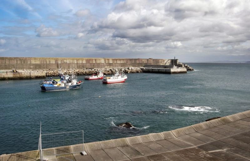 Imagen del artículo Galicia reclama activar las medidas de flexibilidad, simplificación y exenciones previstas en el reglamento de control de la pesca
