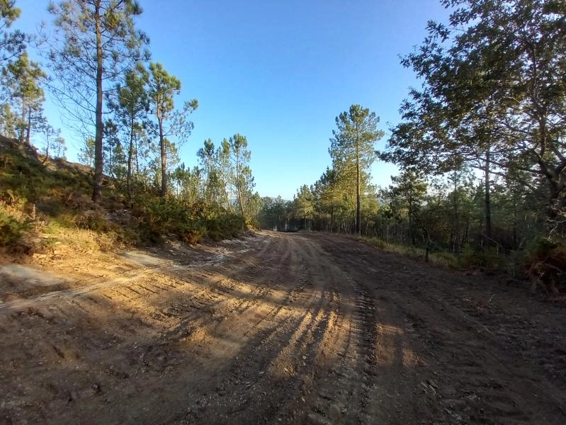 Image 1 of article La Xunta completa trabajos preventivos en 27 hectáreas del distrito forestal XVI Deza-Tabeirós, en Cerdedo-Cotobade y Forcarei, para facilitar la defensa contra los incendios forestales