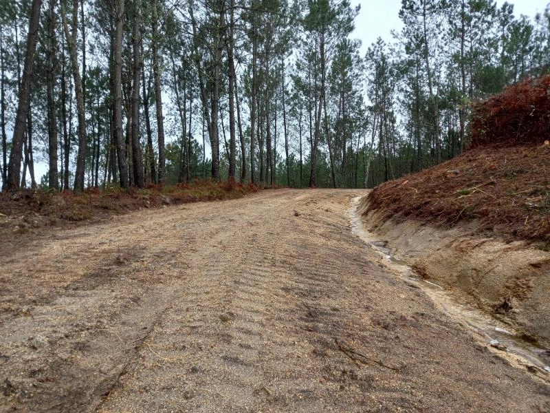 Image 2 of article La Xunta completa trabajos preventivos en 27 hectáreas del distrito forestal XVI Deza-Tabeirós, en Cerdedo-Cotobade y Forcarei, para facilitar la defensa contra los incendios forestales