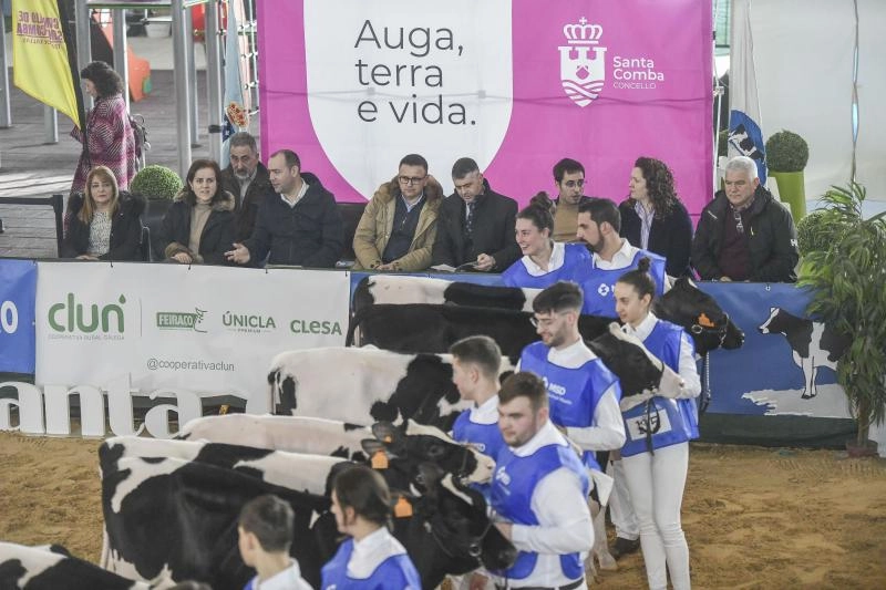 Imagen del artículo La Xunta insiste en exigir una moratoria inmediata y temporal de la normativa de la UE que ahoga a agricultores y ganaderos mientras Europa reflexiona sobre el futuro de este sector