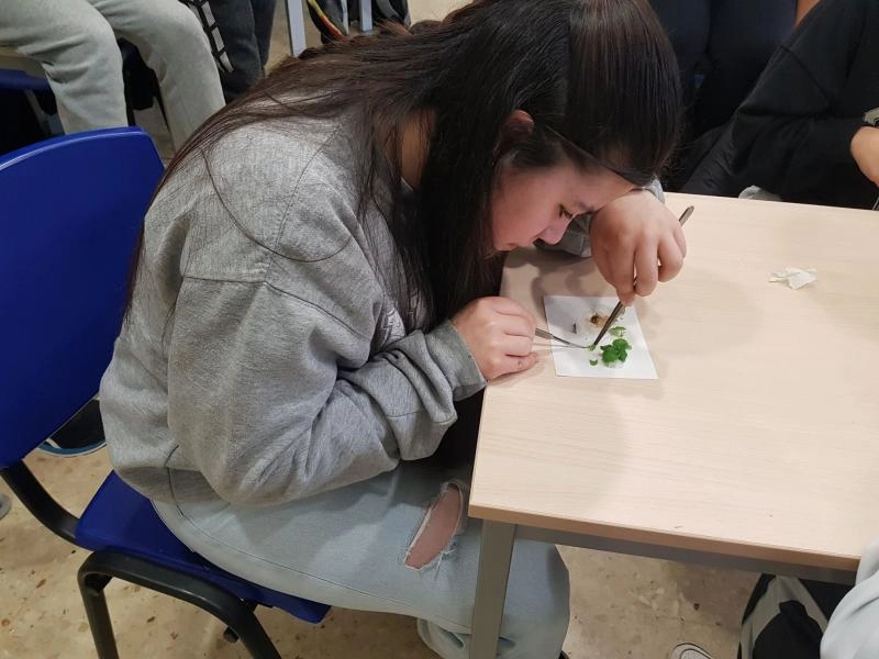 Image 1 of article El CFEA de Sergude organiza una actividad de formación complementaria sobre el cultivo in vitro aplicado a la fruticultura para el alumnado de producción agropecuaria