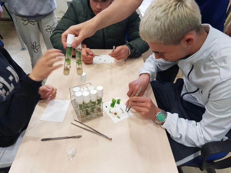 Image 2 of article El CFEA de Sergude organiza una actividad de formación complementaria sobre el cultivo in vitro aplicado a la fruticultura para el alumnado de producción agropecuaria