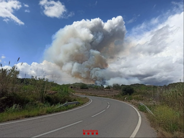 Imagen del artículo Els Bombers de la Generalitat donen per estabilitzat l'incendi forestal de Bonastre (Baix Penedès)