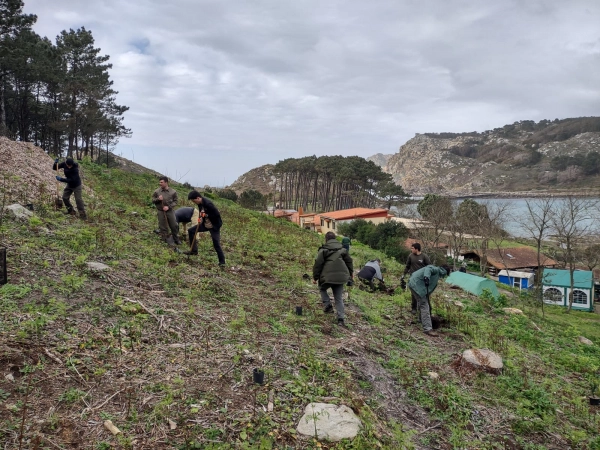 Image 3 of article Alumnos do CFEA de Lourizán visitan as Illas Cíes para poñer en práctica os coñecementos adquiridos no ciclo de Xestión forestal e do medio natural