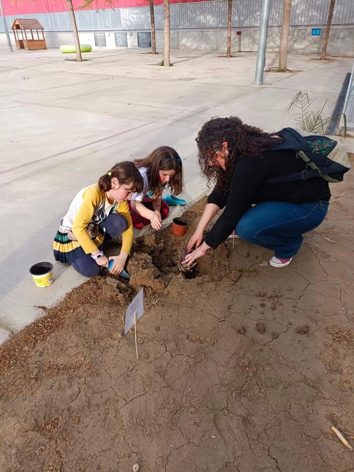 Image 1 of article El proyecto Patios X El Clima sigue sumando espacios renaturalizados en los centros escolares de la comunidad